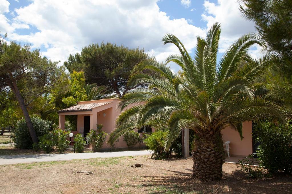 Villaggio Turistico Scialmarino Vieste Zimmer foto
